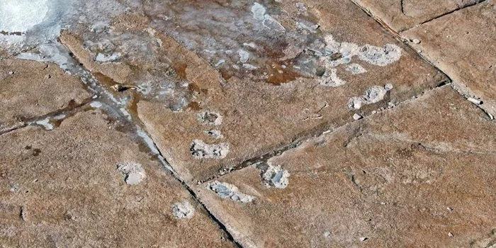 Freeze Thaw Damaged Concrete