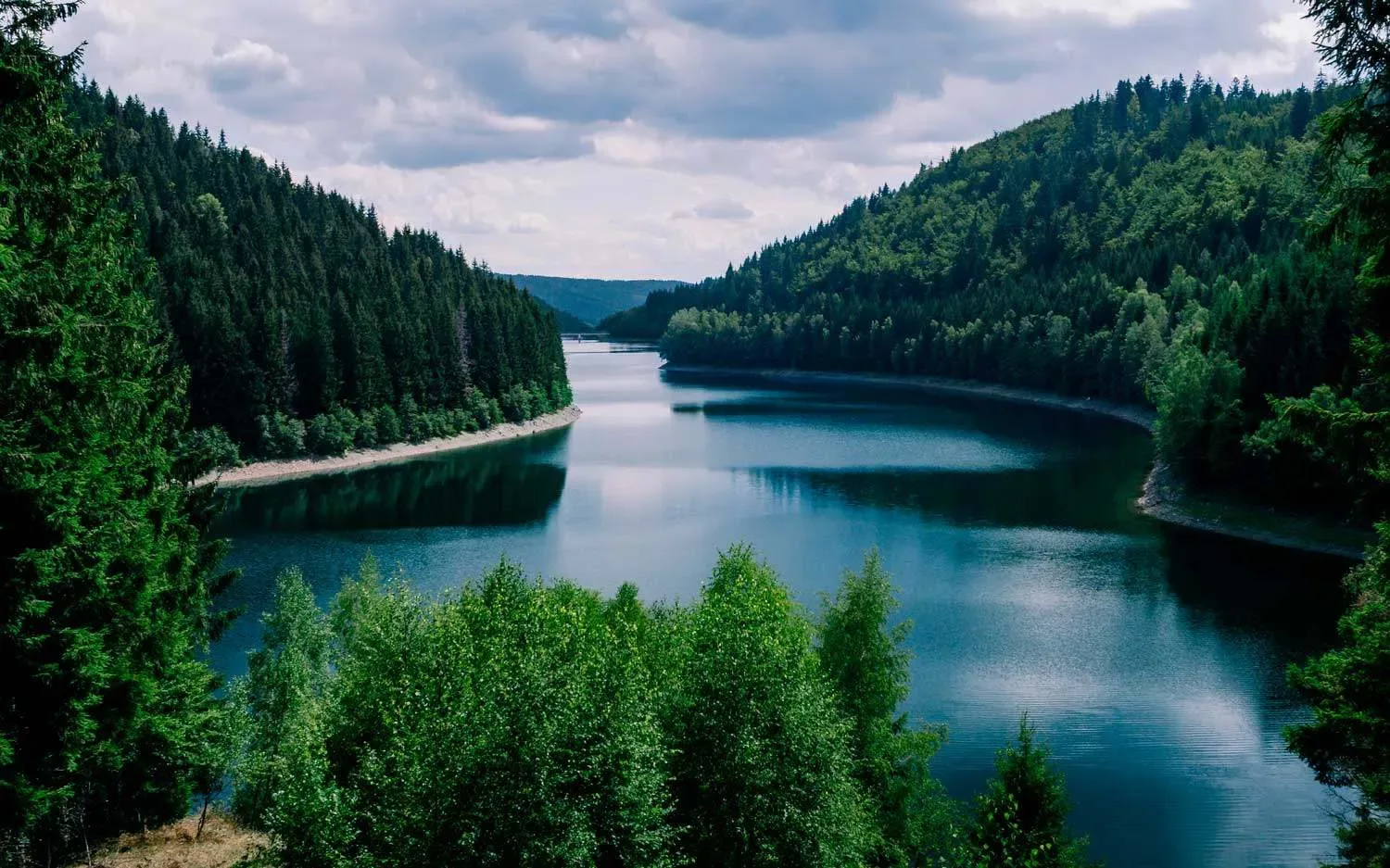 Un lago immerso in una foresta in una giornata nuvolosa