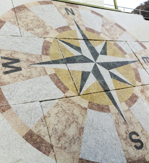 Arty - Rosa dei venti