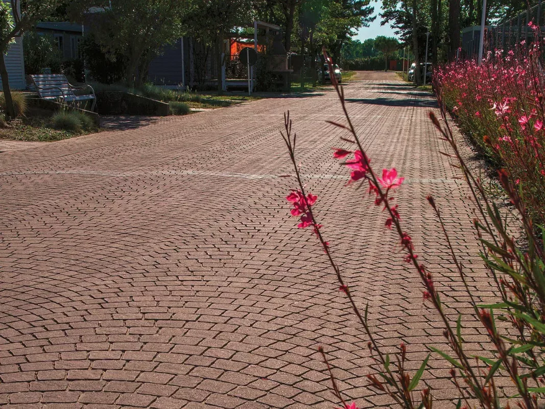 Roubaix | Testa di Moro