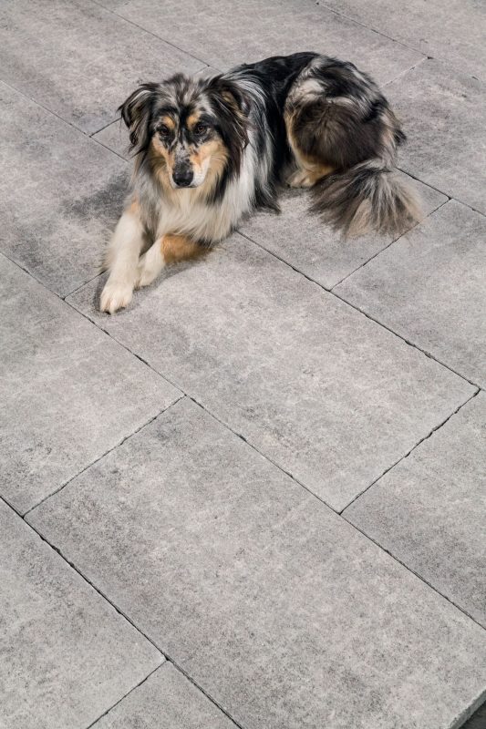 Sasslong | Finitura Adige colore grigio venato