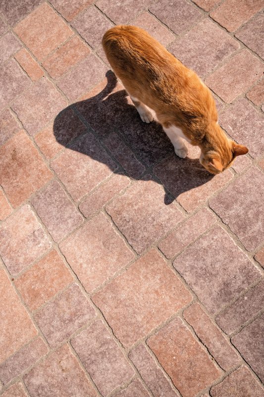 Via Postumia | Finitura gransasso colore roccia vulcanica